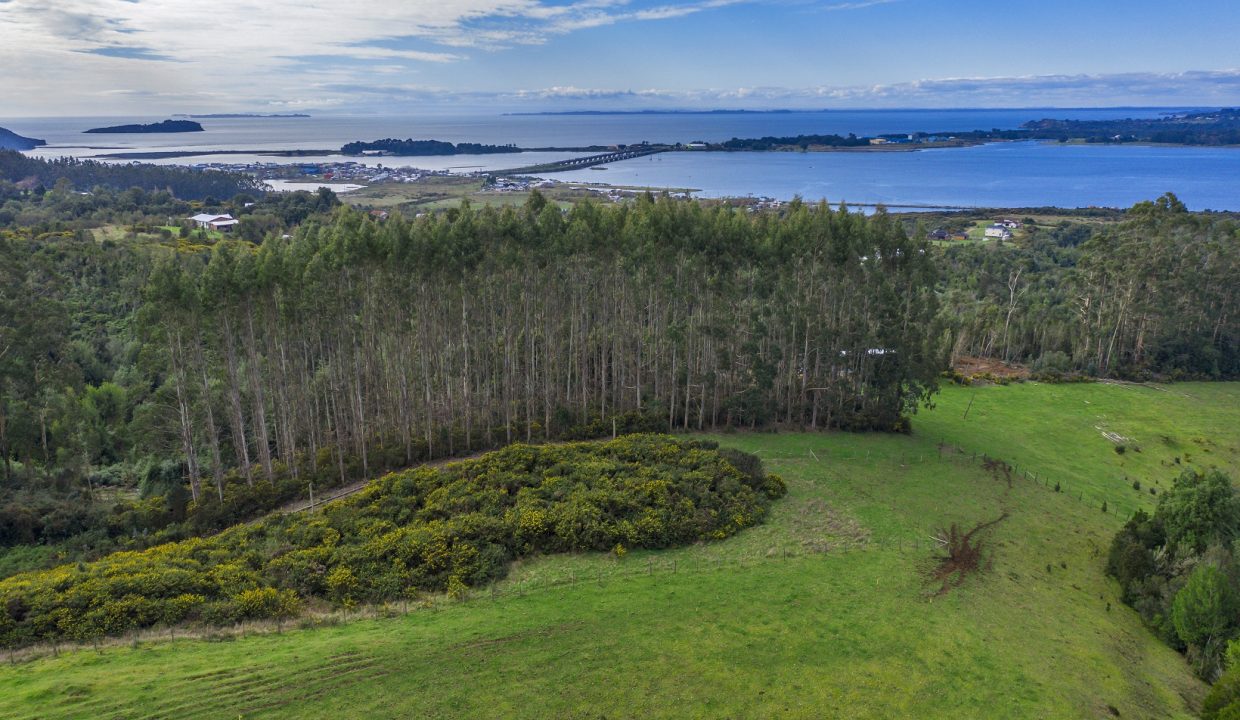 DJI_0166