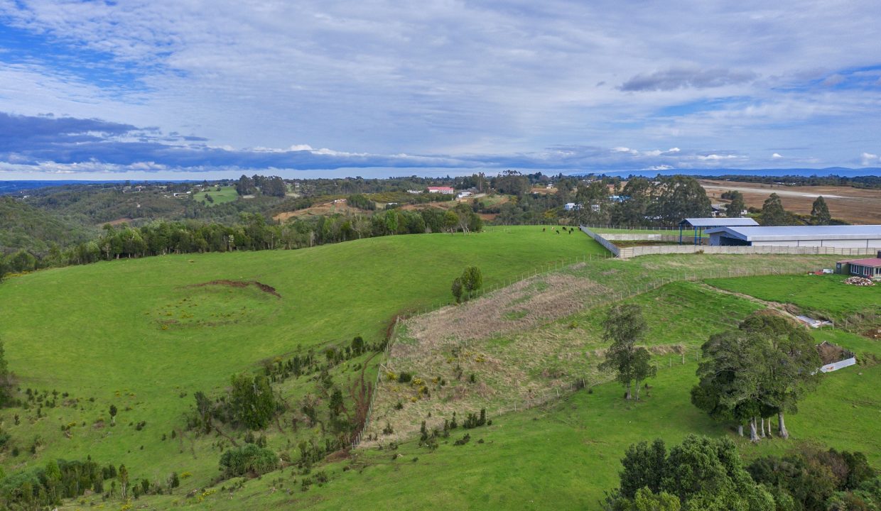 DJI_0167