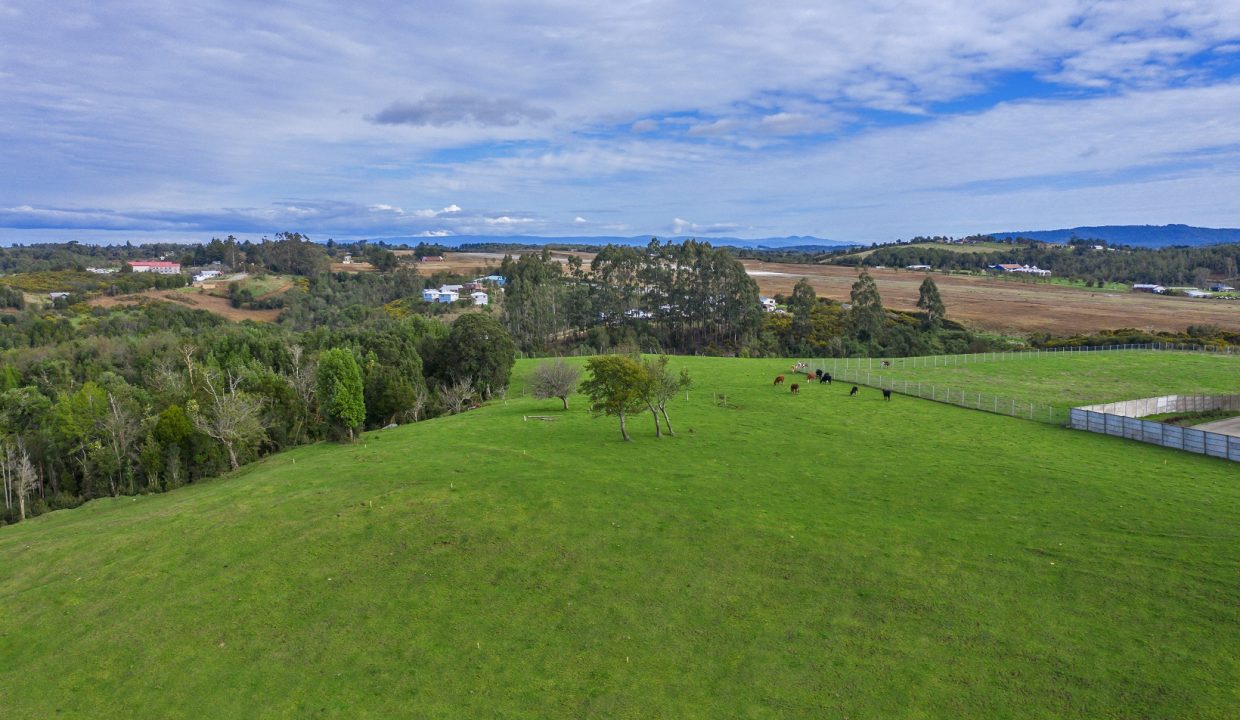 DJI_0168