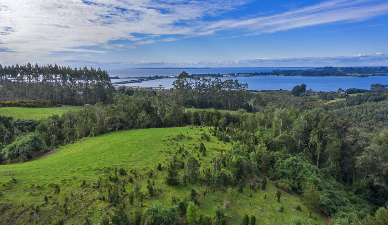 DJI_0169