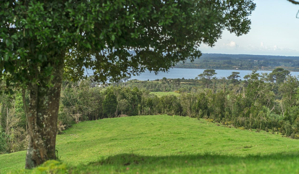 DSC06196